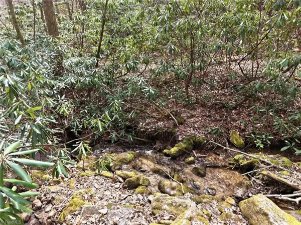 $145,000 | Lot 109-110 Pepper Bush Road, Purlear, NC 28665