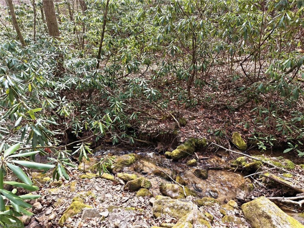 Lot 109-110 Pepper Bush Road Purlear, NC 28665 - Photo 26 of 36