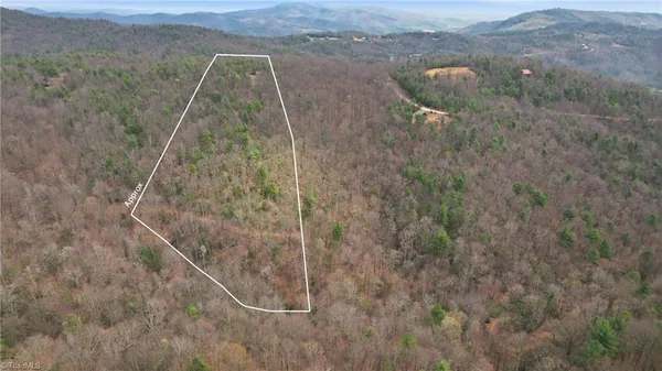 $145,000 | Lot 109-110 Pepper Bush Road, Purlear, NC 28665