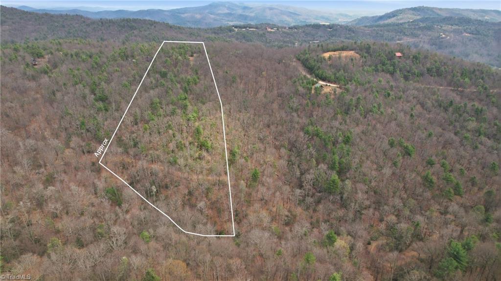 Lot 109-110 Pepper Bush Road Purlear, NC 28665 - Photo 27 of 36