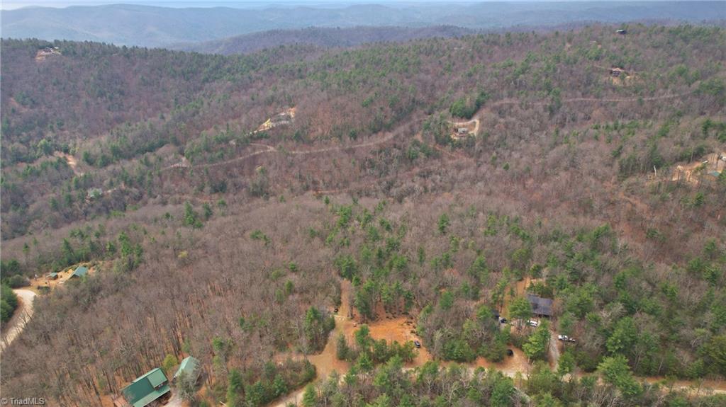 Lot 109-110 Pepper Bush Road Purlear, NC 28665 - Photo 28 of 36