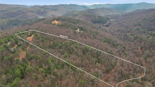 $145,000 | Lot 109-110 Pepper Bush Road, Purlear, NC 28665