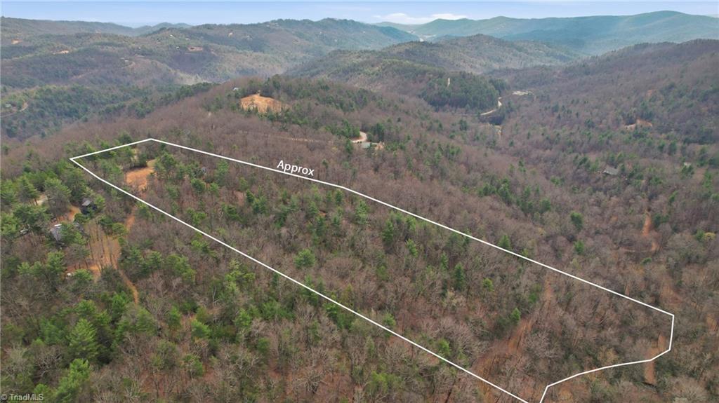 Lot 109-110 Pepper Bush Road Purlear, NC 28665 - Photo 29 of 36