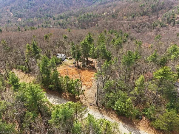 $145,000 | Lot 109-110 Pepper Bush Road, Purlear, NC 28665