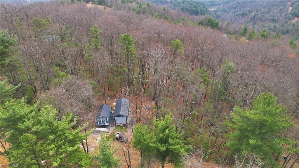 Lot 109-110 Pepper Bush Road Purlear, NC 28665 - Photo 31 of 36