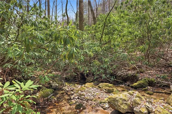 $145,000 | Lot 109-110 Pepper Bush Road, Purlear, NC 28665