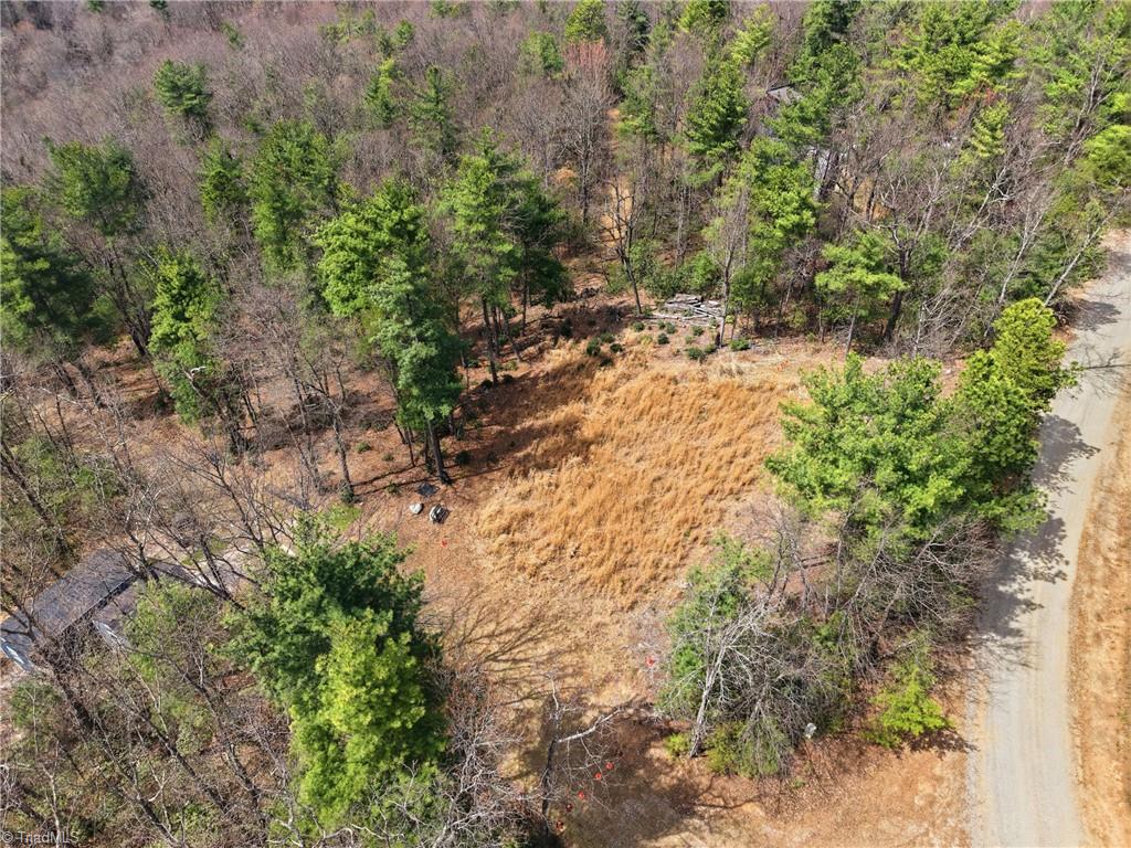 Lot 109-110 Pepper Bush Road Purlear, NC 28665 - Photo 34 of 36