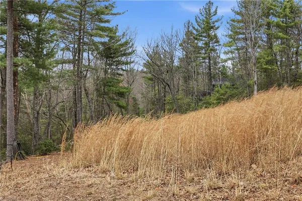 $145,000 | Lot 109-110 Pepper Bush Road, Purlear, NC 28665