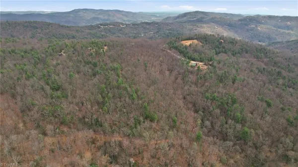 $145,000 | Lot 109-110 Pepper Bush Road, Purlear, NC 28665