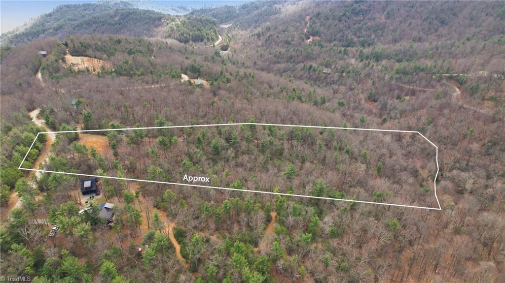 Lot 109-110 Pepper Bush Road Purlear, NC 28665 - Photo 4 of 36