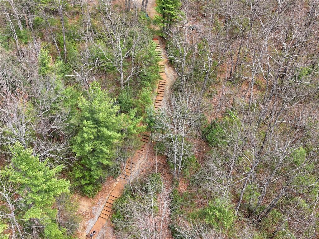 Lot 109-110 Pepper Bush Road Purlear, NC 28665 - Photo 5 of 36