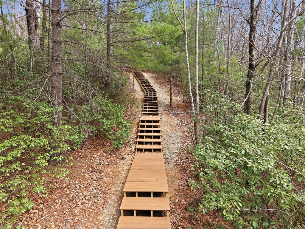 Lot 109-110 Pepper Bush Road Purlear, NC 28665 - Photo 6 of 36