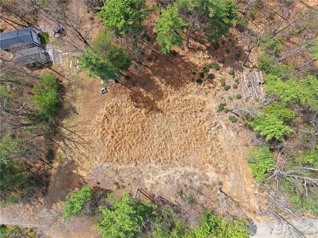 Lot 109-110 Pepper Bush Road Purlear, NC 28665 - Photo 7 of 36