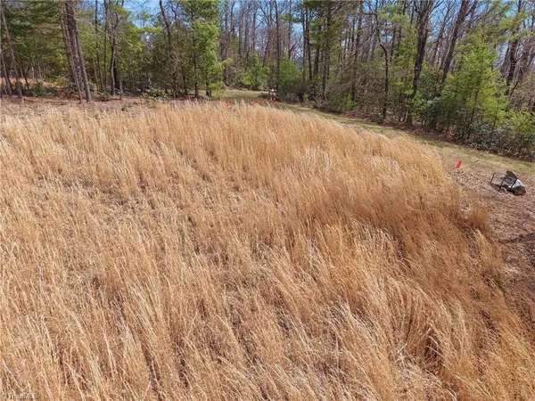 $145,000 | Lot 109-110 Pepper Bush Road, Purlear, NC 28665