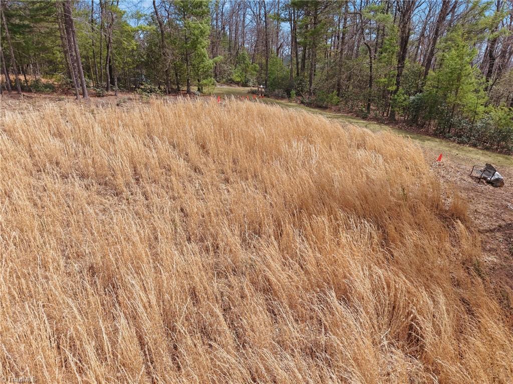 Lot 109-110 Pepper Bush Road Purlear, NC 28665 - Photo 9 of 36