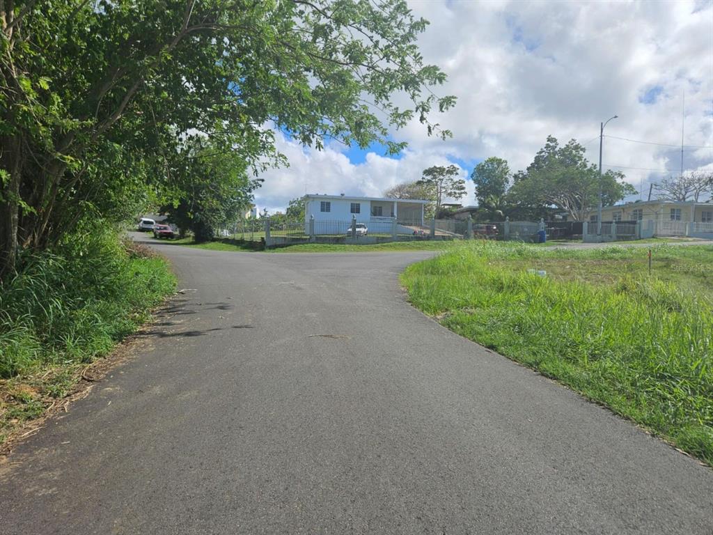 Bo Guayabo Isabela, PR 00662 - Photo 6 of 9