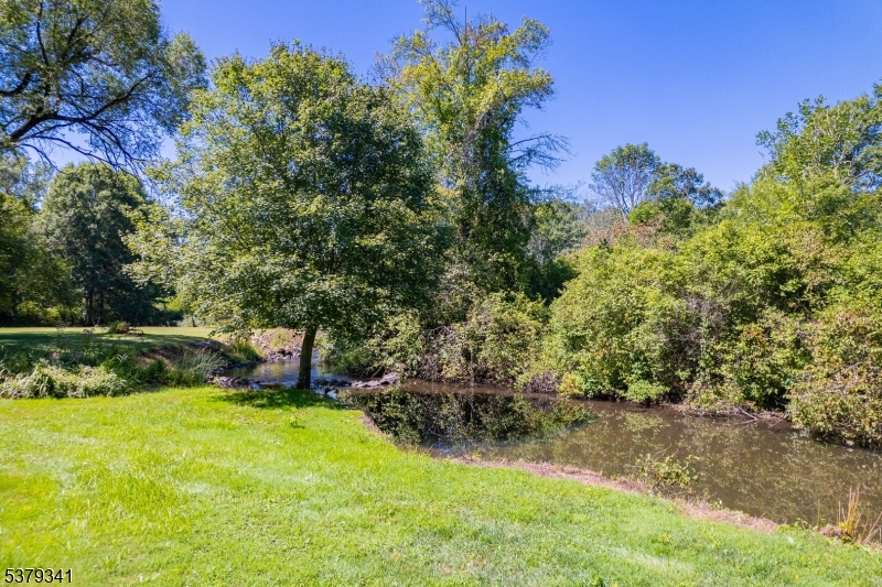 833 Berkshire Valley Road Wharton, NJ 07885 - Photo 37 of 48 a view of a yard with a tree