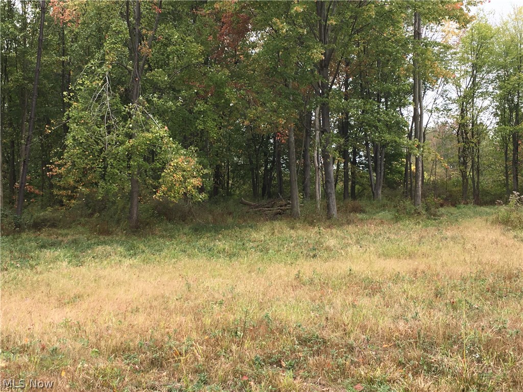 Pickle Rd Green Green, OH 44720 - Photo 13 of 15