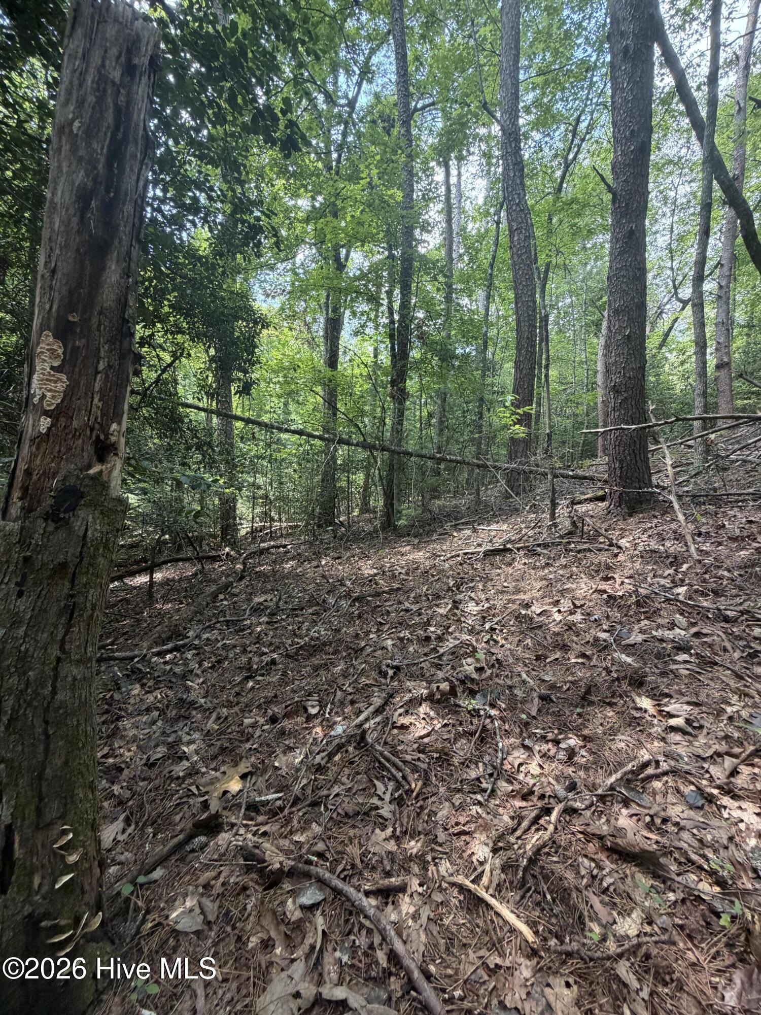 5.85-ac Emory Shield Road Murphy, NC 28906 - Photo 17 of 19 Gallery Image 17