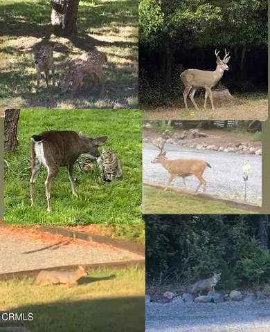 $699,000 | 31400 Sherwood Road, Fort Bragg, CA 95437