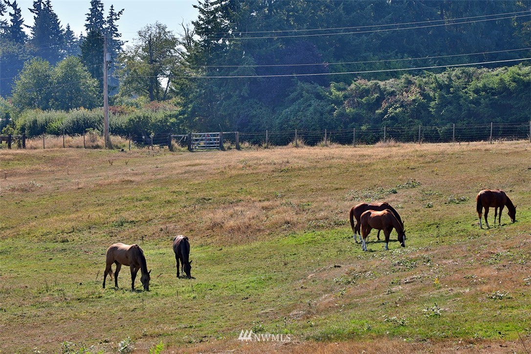 4726 Deer Lake Road Clinton, WA 98236 - Photo 19 of 23 Gallery Image 19