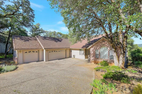 a view of a yard with a tree
