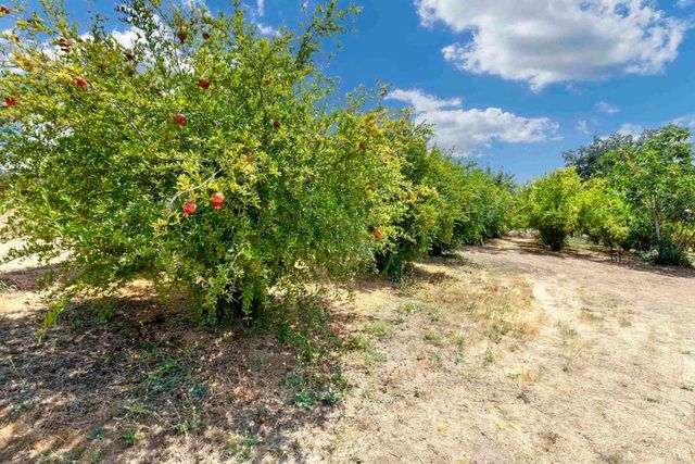 a view of a house with a tree in the background