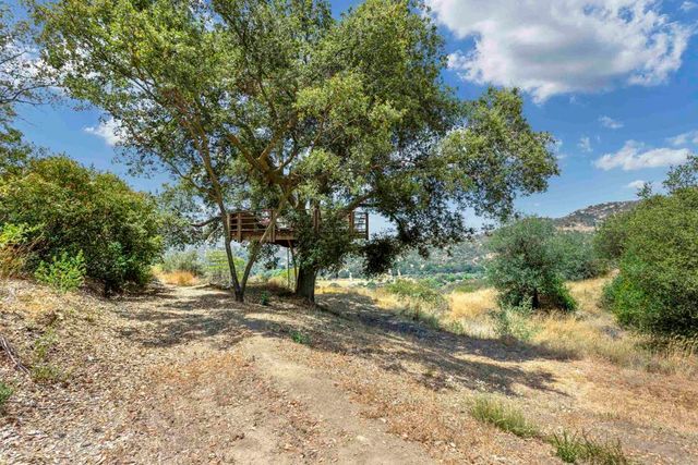 a view of a yard with plants and trees
