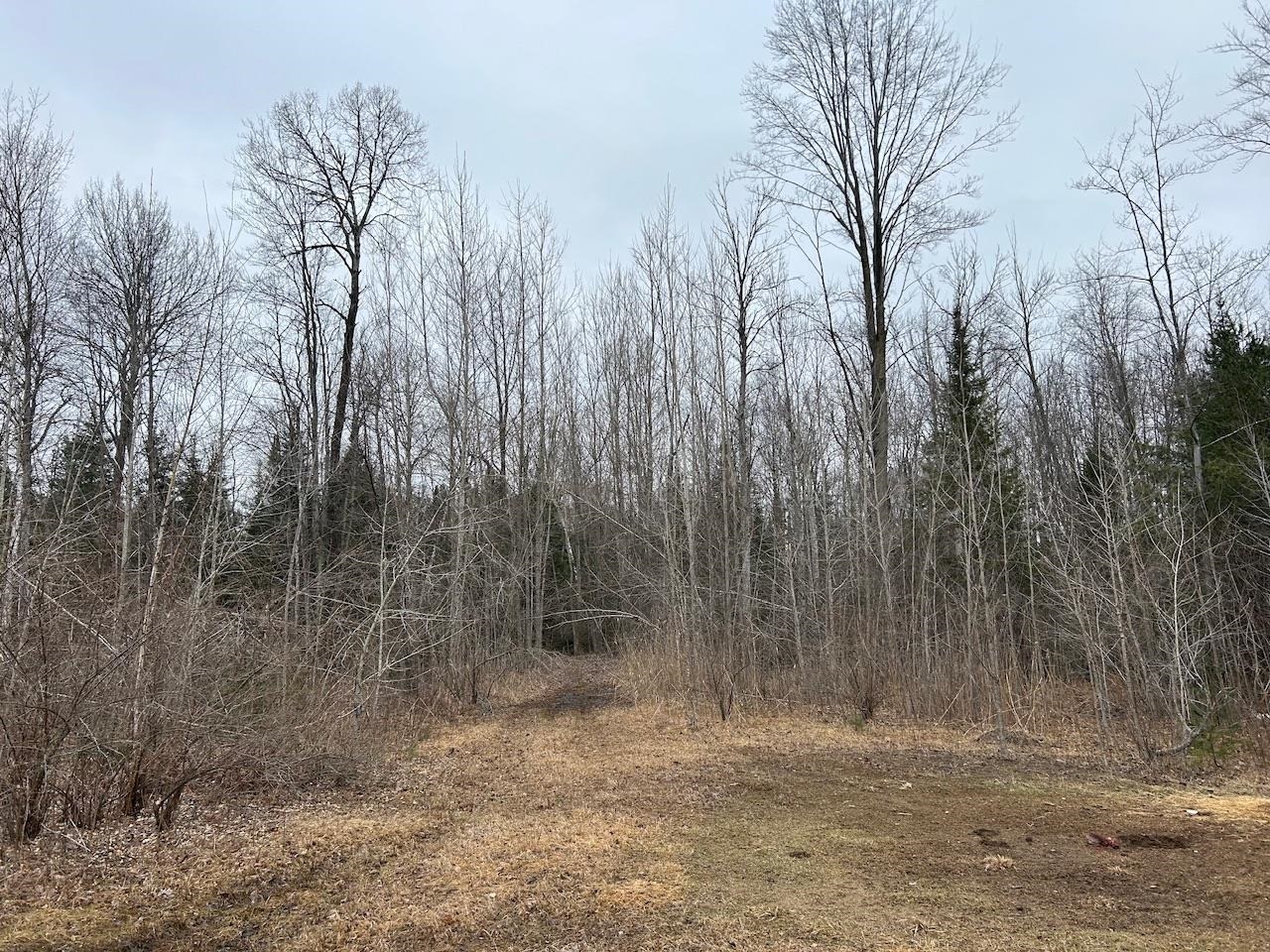 19.2 Acres W M61 Road Gladwin, MI 48624 - Photo 12 of 17