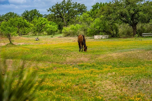 $1,100,000 | 8475 West W Highway, Llano, TX 78643