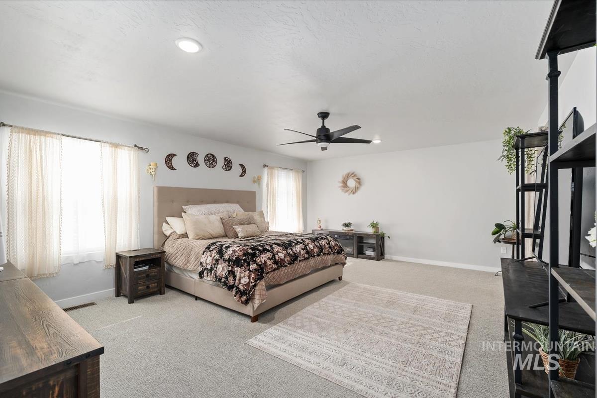 11359 West Langit Street Star, ID 83669 - Photo 12 of 39 Bedroom with light carpet, multiple windows, and a ceiling fan