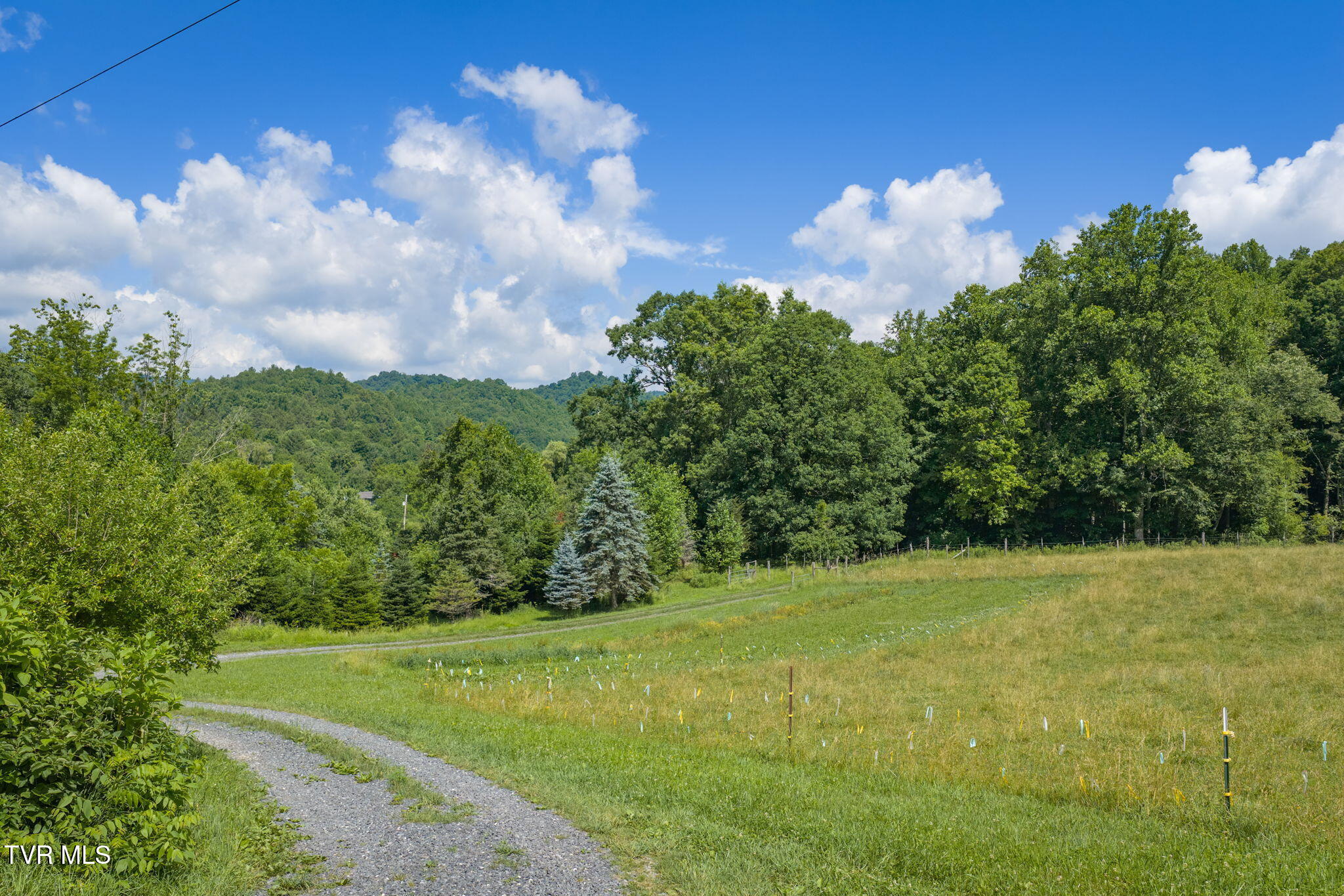 120 Teaberry Road Roan Mountain, TN 37687 - Photo 4 of 56 2-web-or-mls-DJI_20260612111555_0231_D