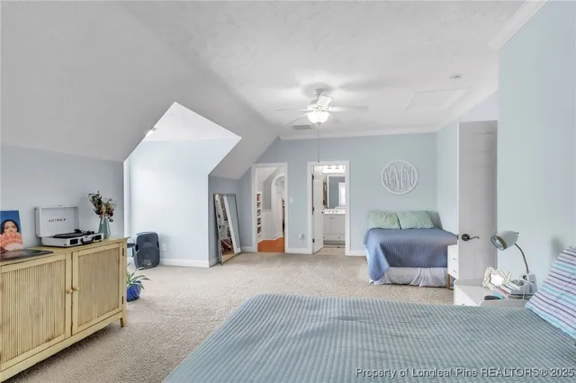 a very nice looking room with many windows