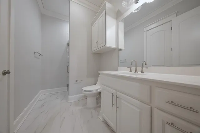 a bathroom with a sink toilet and vanity