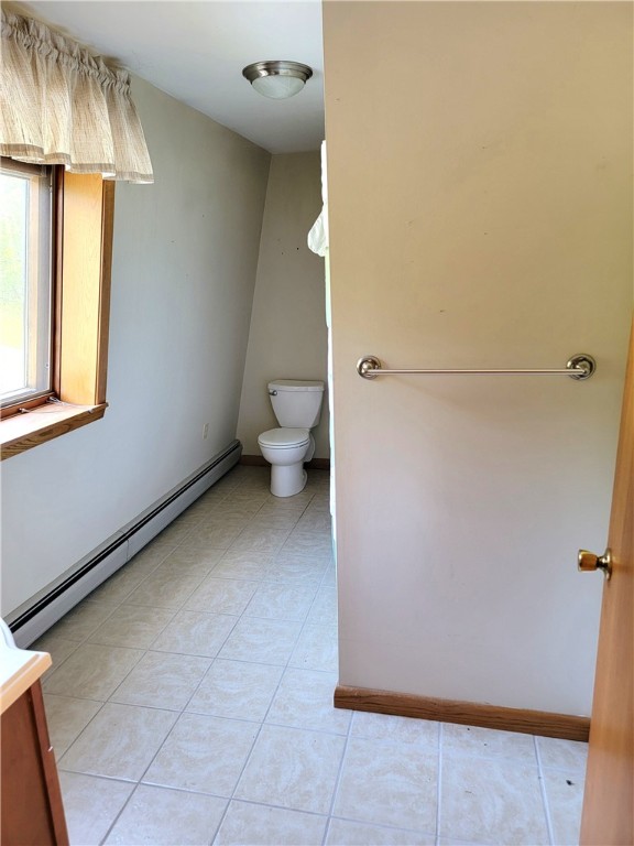 3530 Coats Road Hector, NY 14818 - Photo 45 of 48