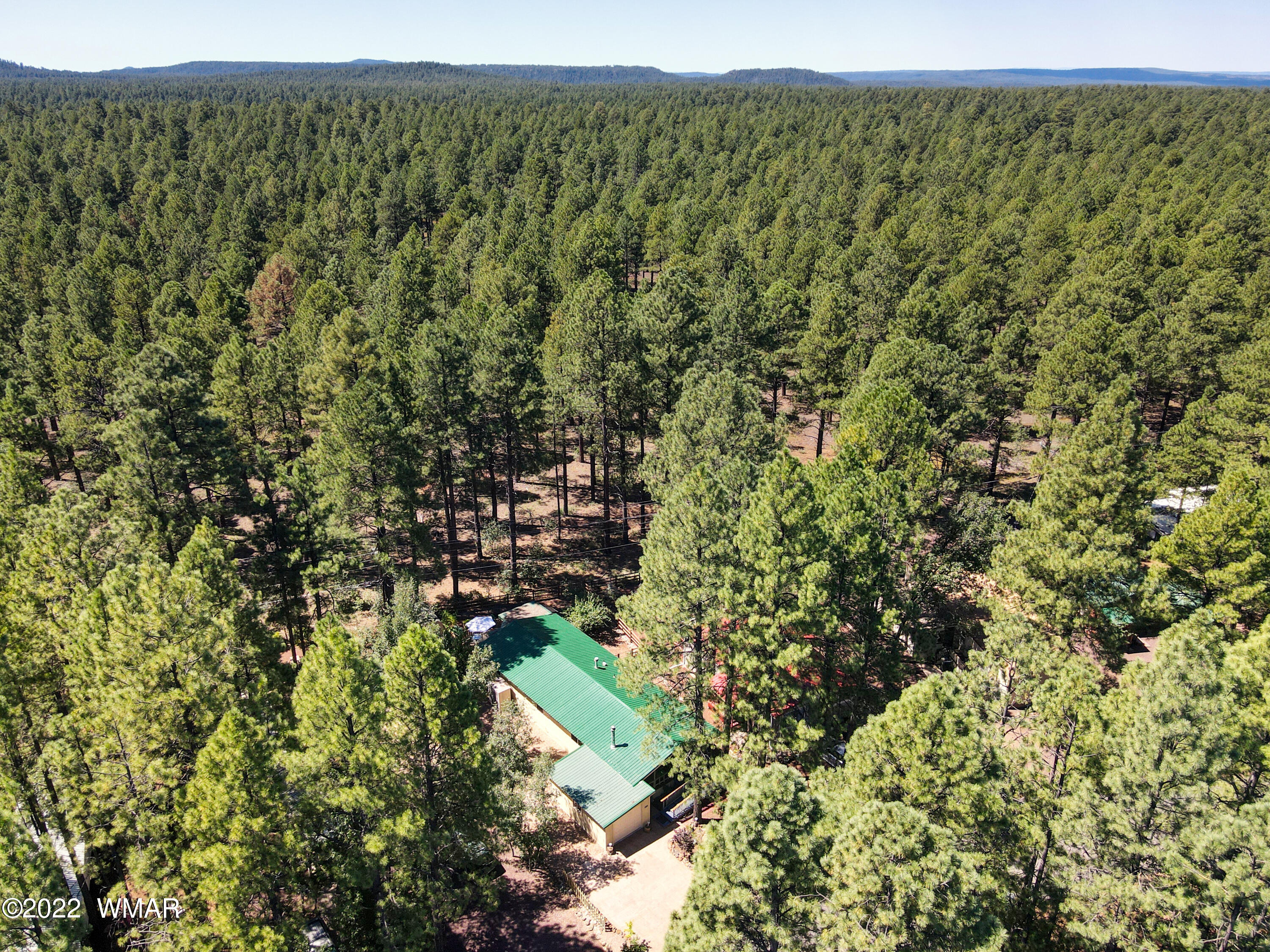 5231 South Blue Ridge Loop Pinetop, AZ 85935 - Photo 21 of 26 a view of a green field with lots of bushes
