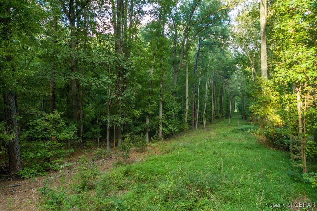 0 Island Road Gloucester, VA 23061 - Photo 6 of 25