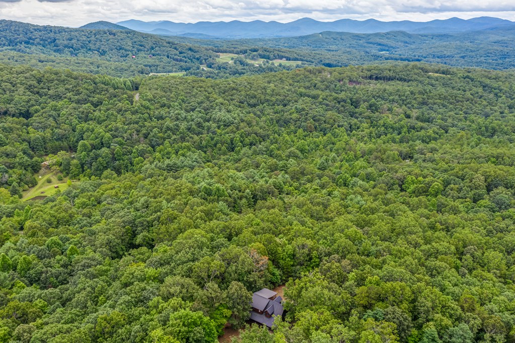 255 Wunder Bear Ridge Morganton, GA 30560 - Photo 54 of 62 Gallery Image 54