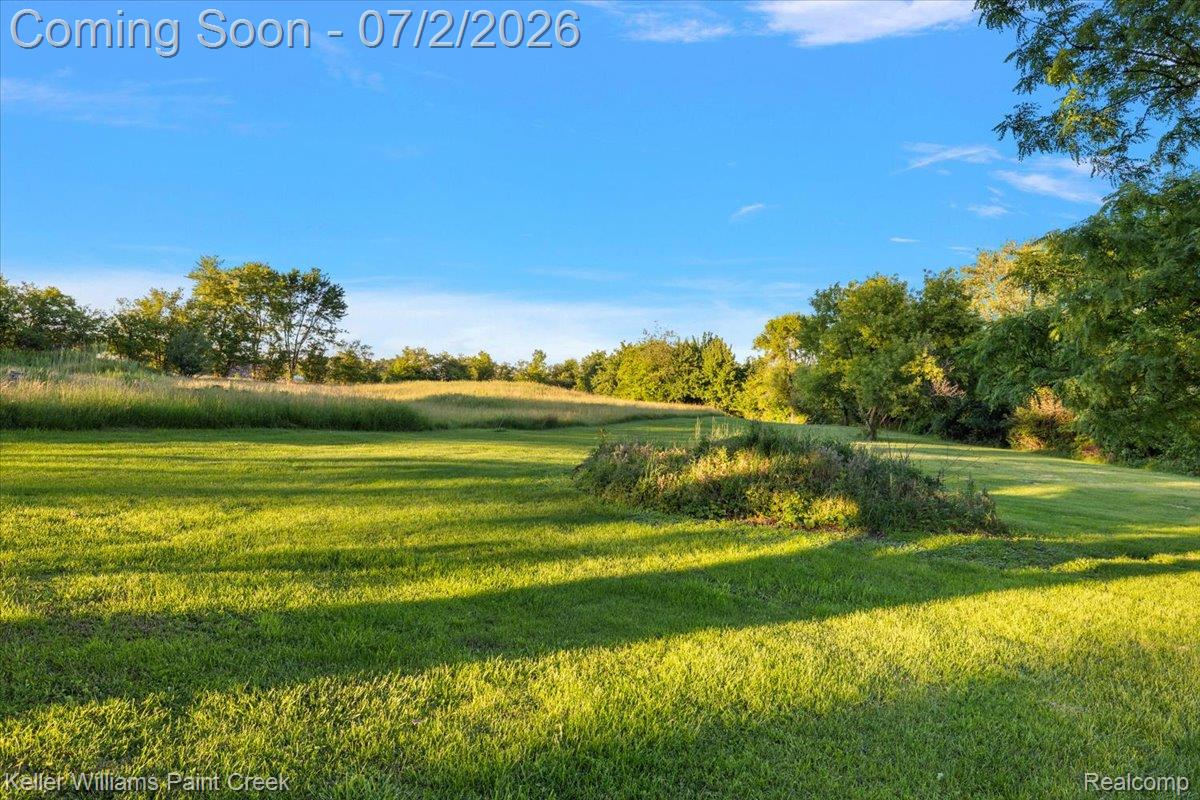 54230 Card Road Macomb, MI 48042 - Photo 13 of 73 Expansive grassy terrain with mature trees bordering the perimeter and a clear blue sky overhead