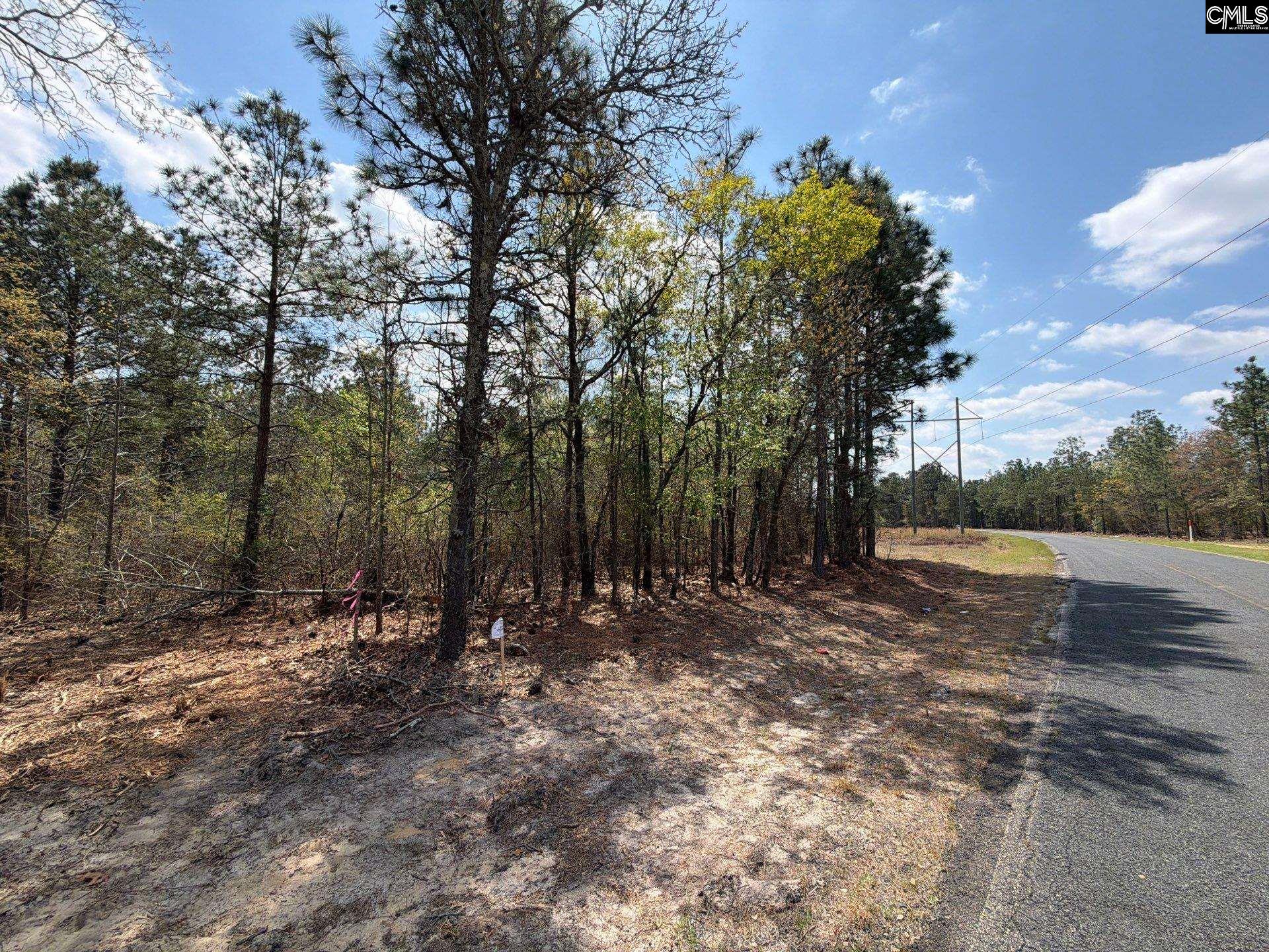 2 Mt Calvary Rd Ridge Spring, Unit CA 2 Ridge Spring, SC 29129 - Photo 10 of 29