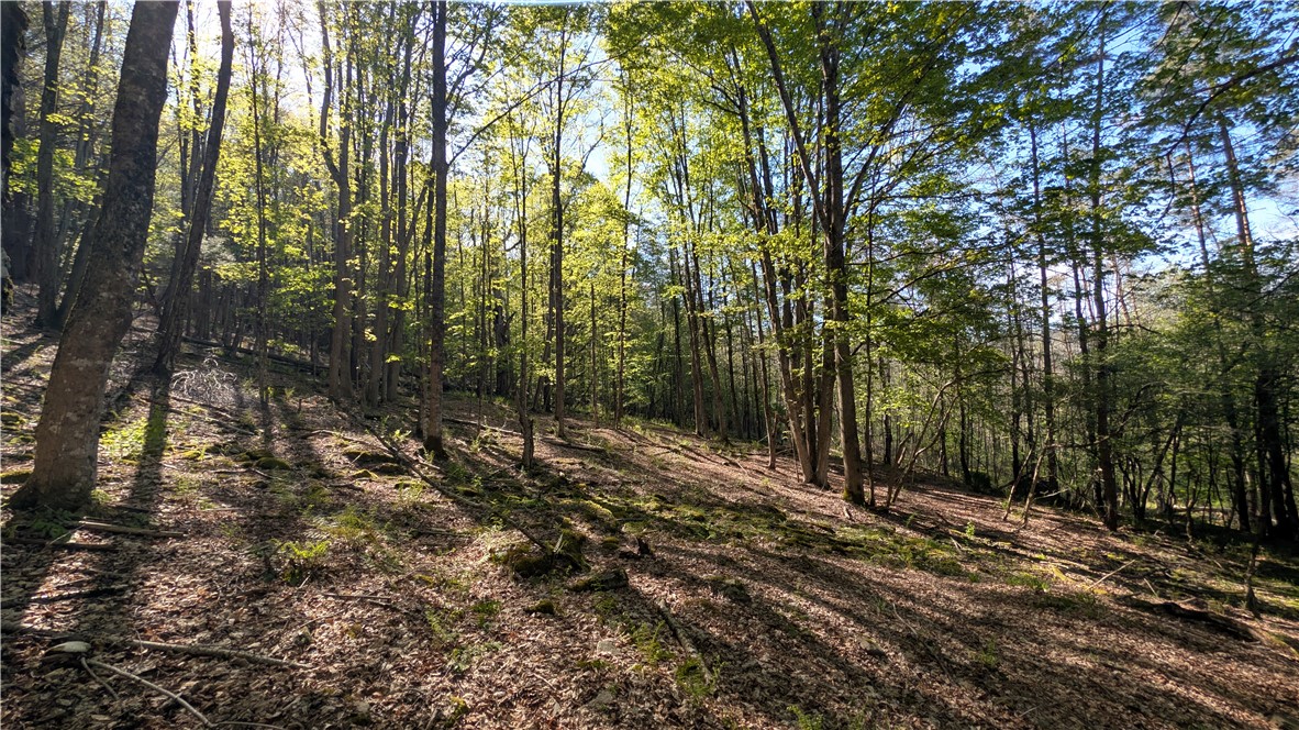 Lot 5 East River Road Andes, NY 13731 - Photo 38 of 39