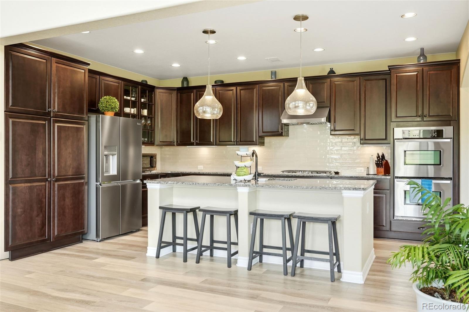9274 Viaggio Way Highlands Ranch, CO 80126 - Photo 3 of 48