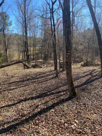 $45,000 | 0 Tomachichi Road, Cross Hill, SC 29332
