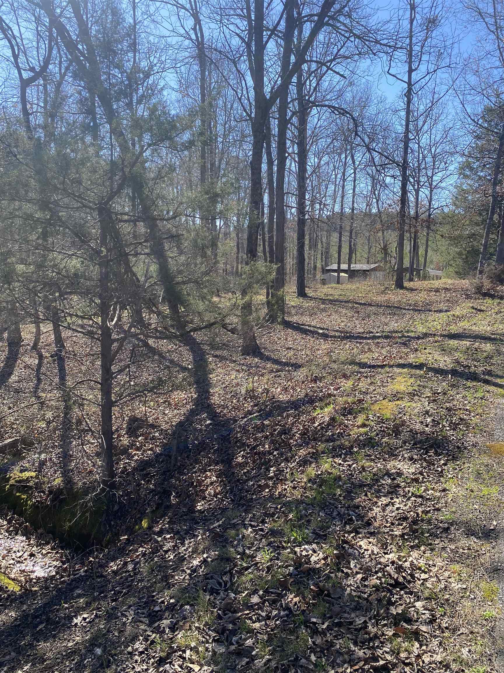 0 Tomachichi Road Cross Hill, SC 29332 - Photo 2 of 12