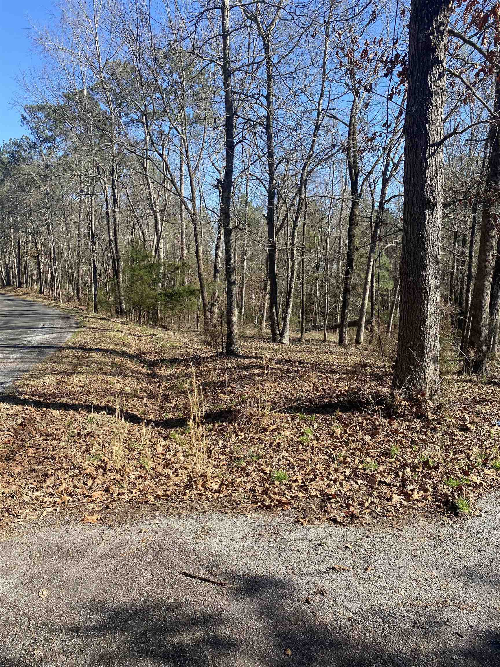 0 Tomachichi Road Cross Hill, SC 29332 - Photo 5 of 12