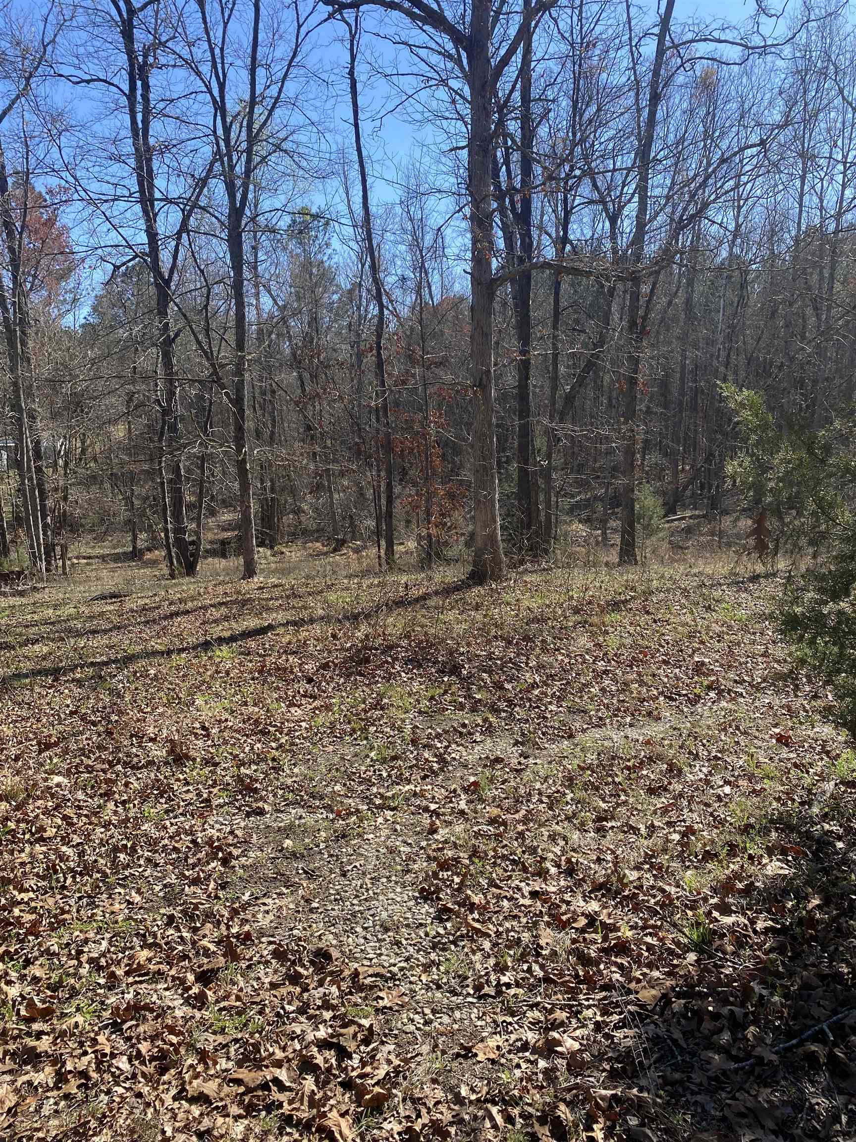 0 Tomachichi Road Cross Hill, SC 29332 - Photo 6 of 12