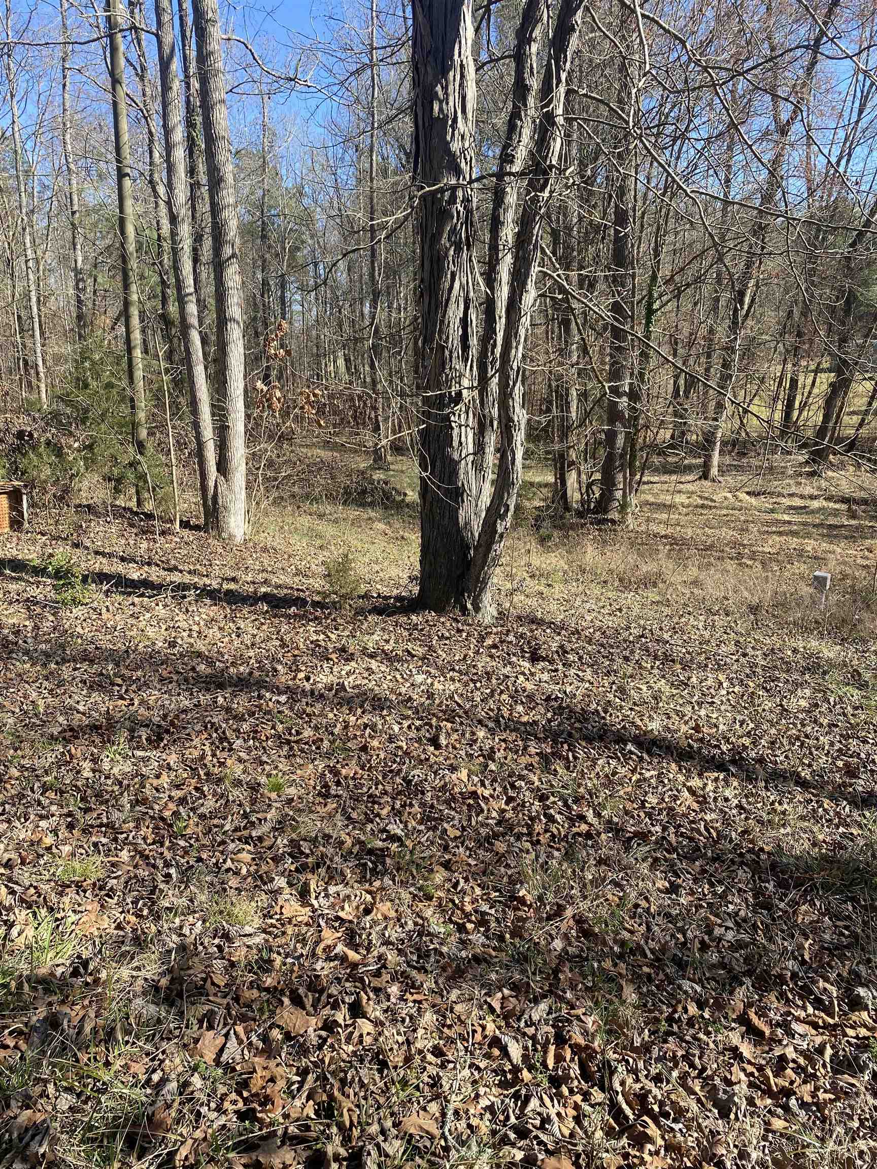 0 Tomachichi Road Cross Hill, SC 29332 - Photo 9 of 12