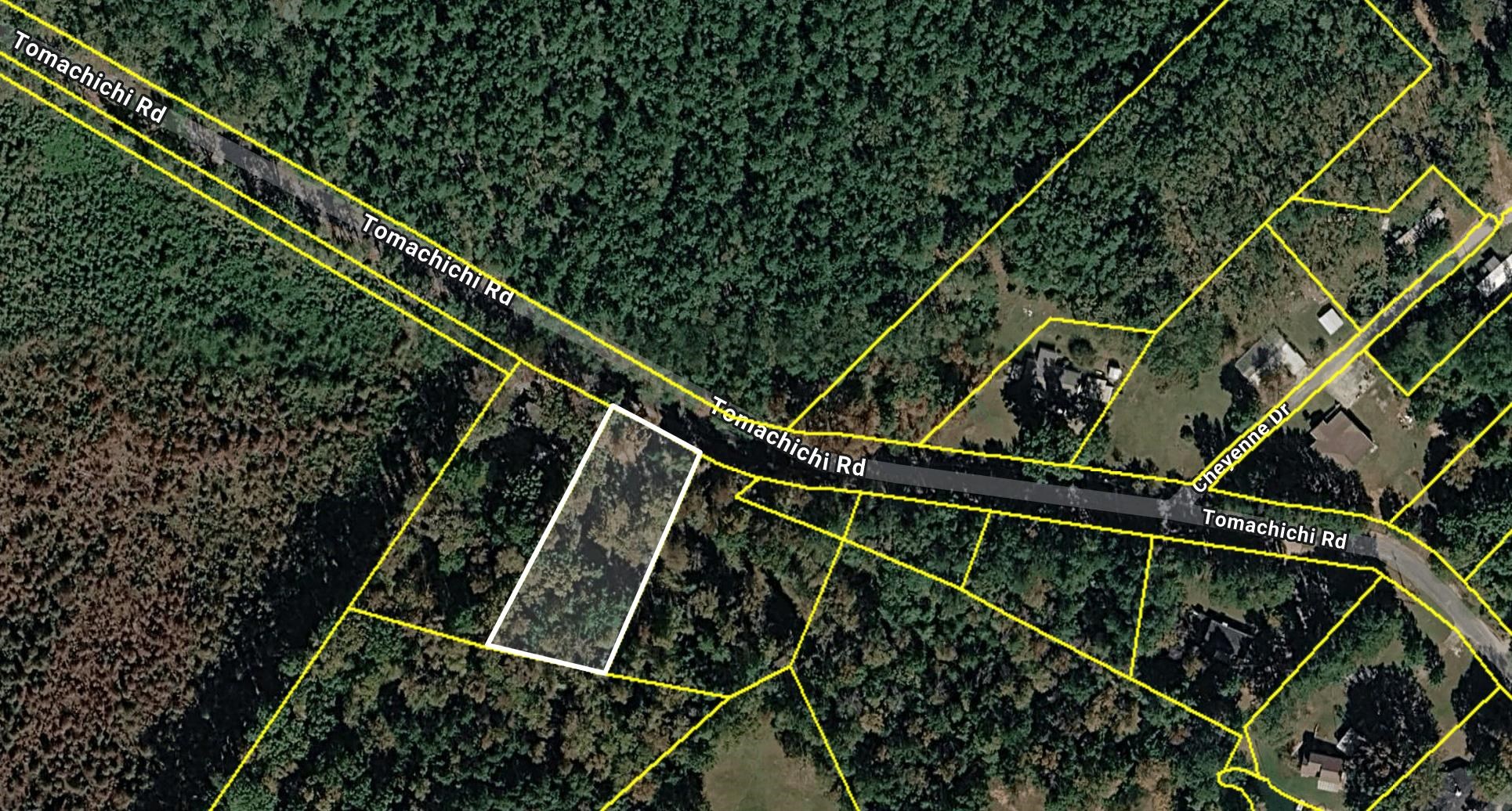 0 Tomachichi Road Cross Hill, SC 29332 - Photo 10 of 12