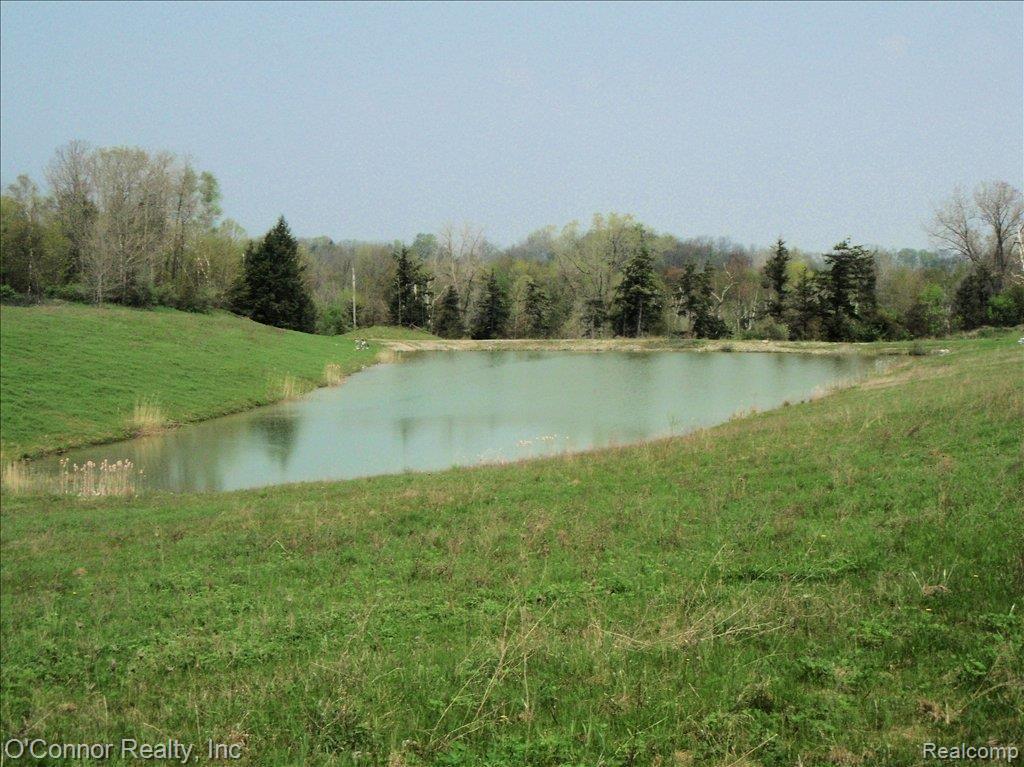 8086 Imlay City Road Avoca, MI 48006 - Photo 7 of 7 8086 Imlay City - pond #3