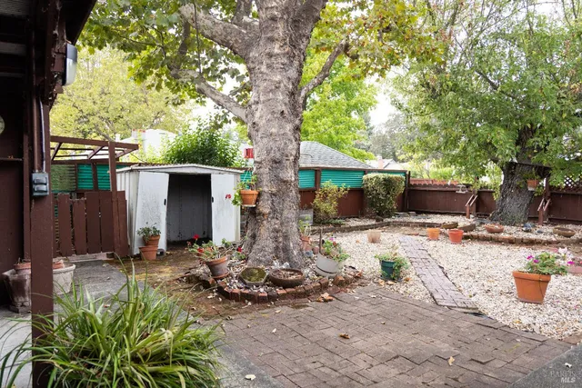 a view of a backyard with potted plants and large tree